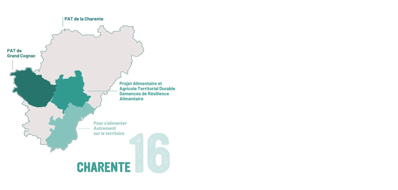 Test 2 carte 16